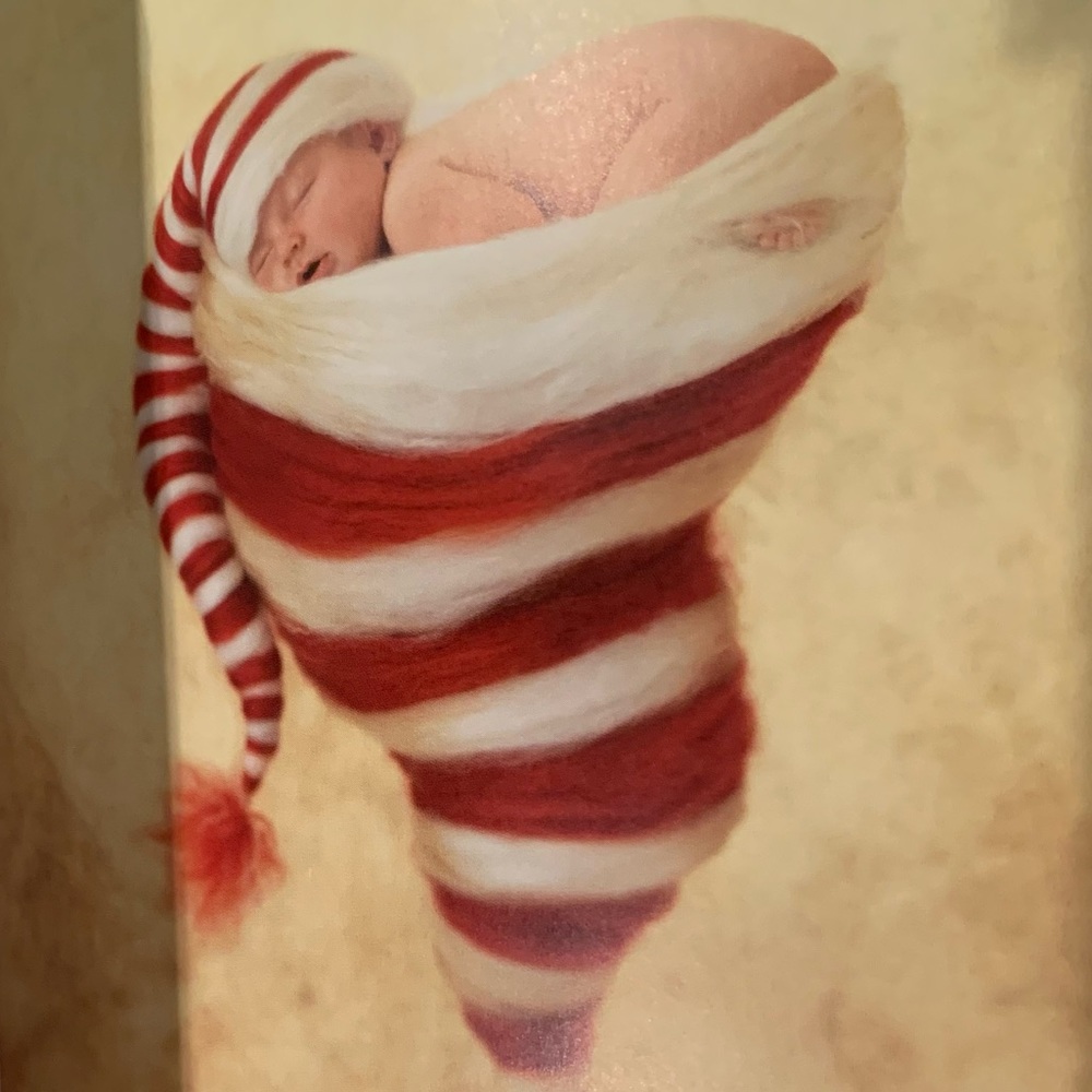 Anne Geddes “Little Blessings” - Picture 6 of 9